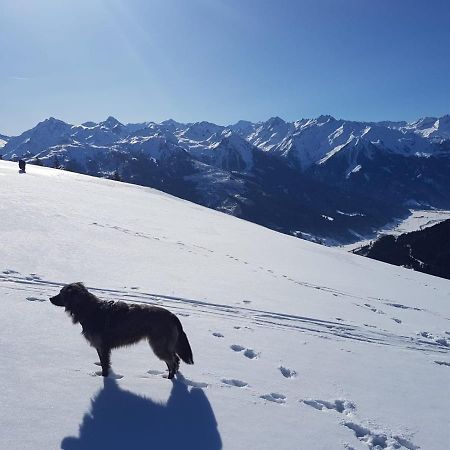 Cordial Sport Hotel Going Going am Wilden Kaiser ภายนอก รูปภาพ